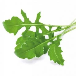 Kochen & Backen Zubehör Emsa Indoor-Garten Zubehör Substratkapsel 3er-Set