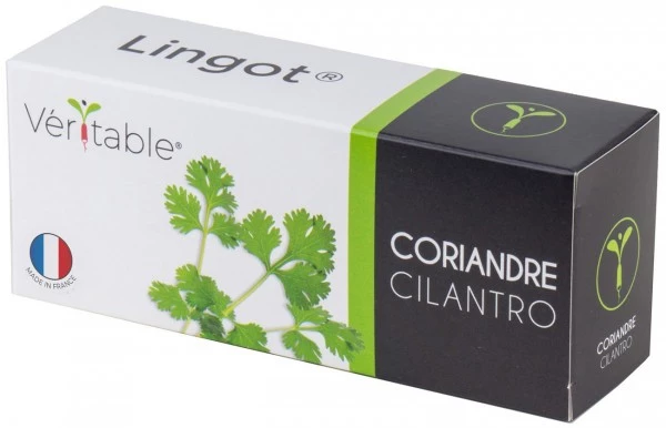 Véritable Kochen & Backen Zubehör Véritable Lingot Koriander Bio Indoor-Garten Zubehör 3 Véritable Kochen & Backen Zubehör Véritable Lingot Koriander Bio Indoor-Garten Zubehör