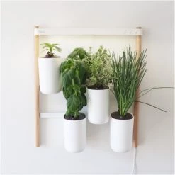 Prêt à Pousser Kochen & Backen Zubehör Prêt à Pousser Modulo 2 Indoor-Garten Inkl. 4 Samentöpfe Weiß