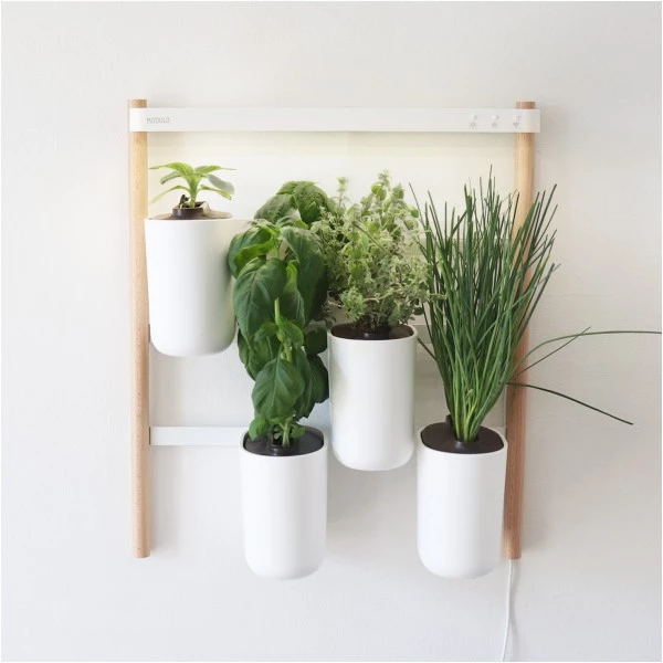 Prêt à Pousser Kochen & Backen Zubehör Prêt à Pousser Modulo 2 Indoor-Garten Inkl. 4 Samentöpfe Weiß 3 Prêt à Pousser Kochen & Backen Zubehör Prêt à Pousser Modulo 2 Indoor-Garten Inkl. 4 Samentöpfe Weiß