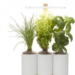 Prêt à Pousser Kochen & Backen Zubehör Prêt à Pousser Lilo Connect Indoor-Garten Weiß