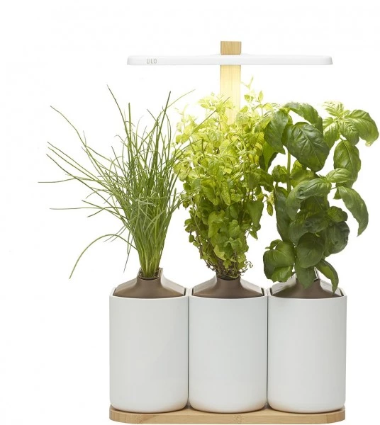 Prêt à Pousser Kochen & Backen Zubehör Prêt à Pousser Lilo Connect Indoor-Garten Weiß 3 Prêt à Pousser Kochen & Backen Zubehör Prêt à Pousser Lilo Connect Indoor-Garten Weiß