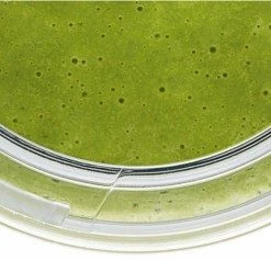 Zubehör Für Küchenkleingeräte Bosch MMZV0BT1 Trinkflasche Für VitaMaxx -Raclette Grills Verkaufsgeschäft 592374b5 52d0 48e0 a709 36d53ae78fa7 600x600