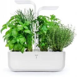 Véritable Kochen & Backen Zubehör Véritable Classic Inkl. 4 Packs Indoor-Garten Weiß