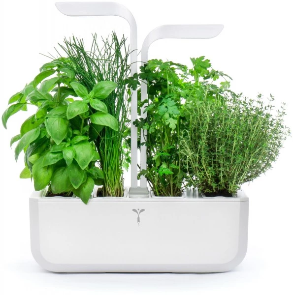 Véritable Kochen & Backen Zubehör Véritable Classic Inkl. 4 Packs Indoor-Garten Weiß 3 Véritable Kochen & Backen Zubehör Véritable Classic Inkl. 4 Packs Indoor-Garten Weiß