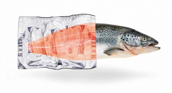 Zubehör Für Küchenkleingeräte Caso Folienrolle 20x600 - 2Stk. Folienschweissgeräte-Zubehör 6 Zubehör Für Küchenkleingeräte Caso Folienrolle 20x600 - 2Stk. Folienschweissgeräte-Zubehör – Bild 4