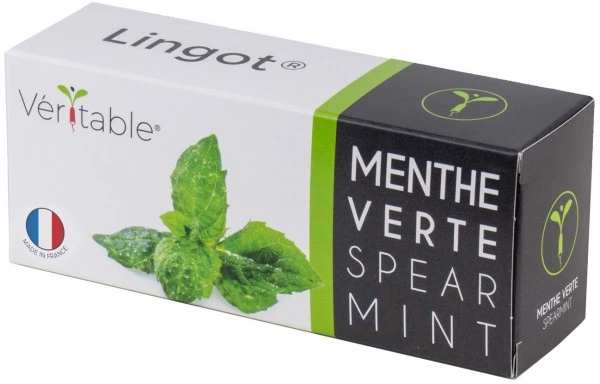 Véritable Kochen & Backen Zubehör Véritable Lingot Krauseminze Indoor-Garten Zubehör 3 Véritable Kochen & Backen Zubehör Véritable Lingot Krauseminze Indoor-Garten Zubehör