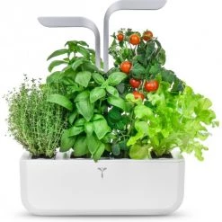 Véritable Kochen & Backen Zubehör Véritable Smart Inkl. 4 Packs Indoor-Garten Weiß