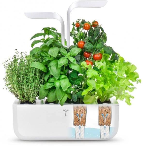 Véritable Kochen & Backen Zubehör Véritable Classic Inkl. 4 Packs Indoor-Garten Weiß 4 Véritable Kochen & Backen Zubehör Véritable Classic Inkl. 4 Packs Indoor-Garten Weiß – Bild 2