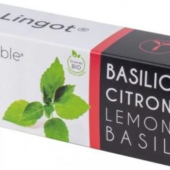 Véritable Kochen & Backen Zubehör Véritable Lingot Zitronenbasilikum Bio Indoor-Garten Zubehör