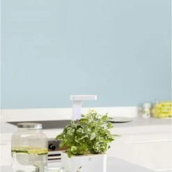 Kochen & Backen Zubehör BOTANEO Eylo Inkl. 2 Packs Indoor-Garten Weiß -Raclette Grills Verkaufsgeschäft be5bae1c c71b 446f ba43 f897d6ef12e0 600x600