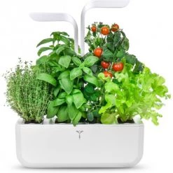 Véritable Kochen & Backen Zubehör Véritable Classic Inkl. 4 Packs Indoor-Garten Weiß 10 Véritable Kochen & Backen Zubehör Véritable Classic Inkl. 4 Packs Indoor-Garten Weiß -Raclette Grills Verkaufsgeschäft d044eaa7 667b 4725 9472 b7cc2a1c90aa 600x600