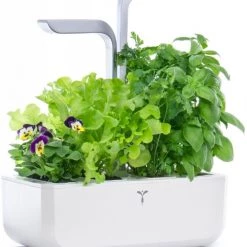 Véritable Kochen & Backen Zubehör Véritable Smart Inkl. 4 Packs Indoor-Garten Weiß 11 Véritable Kochen & Backen Zubehör Véritable Smart Inkl. 4 Packs Indoor-Garten Weiß -Raclette Grills Verkaufsgeschäft d1134943 012f 46d8 862c dafa2f53f3ec 600x600