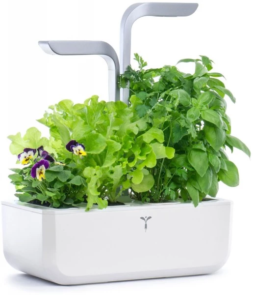 Véritable Kochen & Backen Zubehör Véritable Smart Inkl. 4 Packs Indoor-Garten Weiß 6 Véritable Kochen & Backen Zubehör Véritable Smart Inkl. 4 Packs Indoor-Garten Weiß – Bild 4