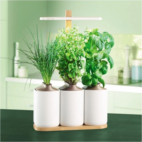 Prêt à Pousser Kochen & Backen Zubehör Prêt à Pousser Lilo Connect Indoor-Garten Weiß 6 Prêt à Pousser Kochen & Backen Zubehör Prêt à Pousser Lilo Connect Indoor-Garten Weiß – Bild 4