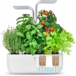 Véritable Kochen & Backen Zubehör Véritable Smart Inkl. 4 Packs Indoor-Garten Weiß 13 Véritable Kochen & Backen Zubehör Véritable Smart Inkl. 4 Packs Indoor-Garten Weiß -Raclette Grills Verkaufsgeschäft e3155bb8 192a 4fab af08 0edbefdc9673 600x600