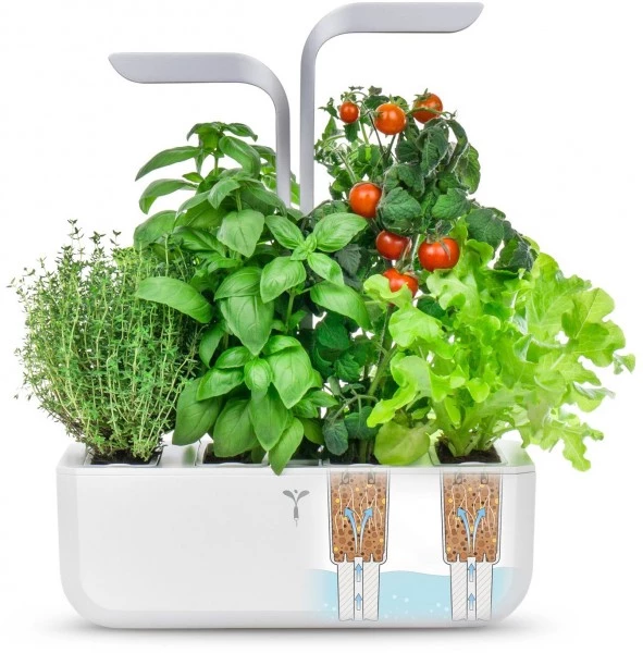 Véritable Kochen & Backen Zubehör Véritable Smart Inkl. 4 Packs Indoor-Garten Weiß 8 Véritable Kochen & Backen Zubehör Véritable Smart Inkl. 4 Packs Indoor-Garten Weiß – Bild 6