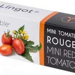 Véritable Kochen & Backen Zubehör Véritable Lingot Rote Mini-Tomate Indoor-Garten Zubehör