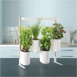 Prêt à Pousser Kochen & Backen Zubehör Prêt à Pousser Modulo 2 Indoor-Garten Inkl. 4 Samentöpfe Weiß 7 Prêt à Pousser Kochen & Backen Zubehör Prêt à Pousser Modulo 2 Indoor-Garten Inkl. 4 Samentöpfe Weiß -Raclette Grills Verkaufsgeschäft fc1f7fee 5dde 4955 92ab c9fd4211d7c4 600x600