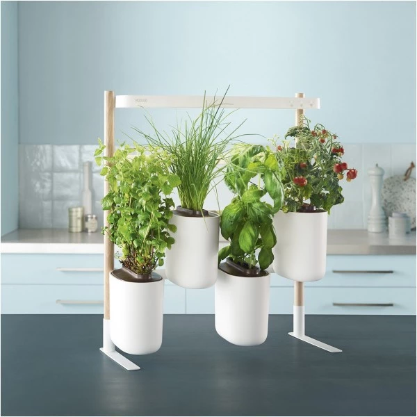 Prêt à Pousser Kochen & Backen Zubehör Prêt à Pousser Modulo 2 Indoor-Garten Inkl. 4 Samentöpfe Weiß 5 Prêt à Pousser Kochen & Backen Zubehör Prêt à Pousser Modulo 2 Indoor-Garten Inkl. 4 Samentöpfe Weiß – Bild 3